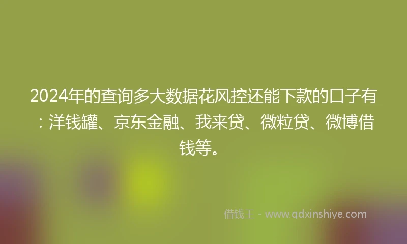 2024年的查询多大数据花风控还能下款的口子有：洋钱罐、京东金融、我来贷、微粒贷、微博借钱等。