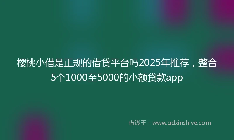 樱桃小借是正规的借贷平台吗2025年推荐，整合5个1000至5000的小额贷款app