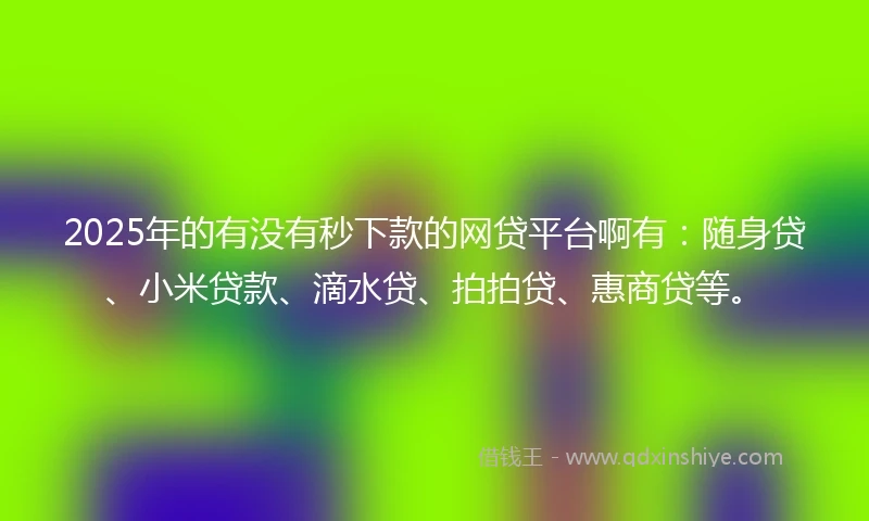 2025年的有没有秒下款的网贷平台啊有：随身贷、小米贷款、滴水贷、拍拍贷、惠商贷等。