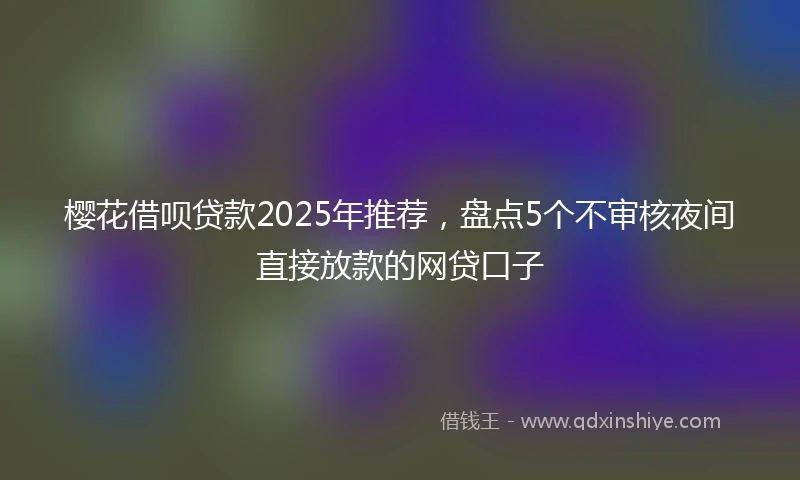 樱花借呗贷款2025年推荐，盘点5个不审核夜间直接放款的网贷口子