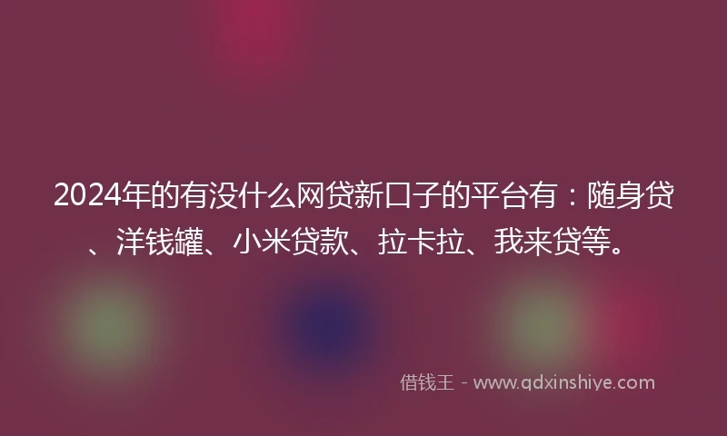 2024年的有没什么网贷新口子的平台有：随身贷、洋钱罐、小米贷款、拉卡拉、我来贷等。