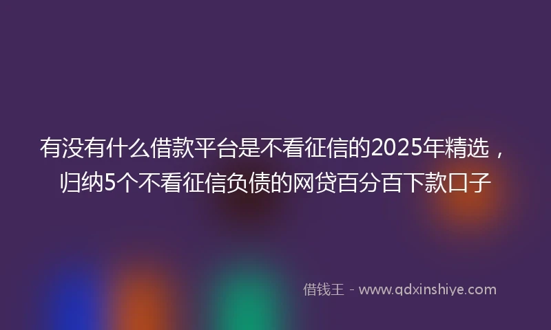 有没有什么借款平台是不看征信的2025年精选，归纳5个不看征信负债的网贷百分百下款口子