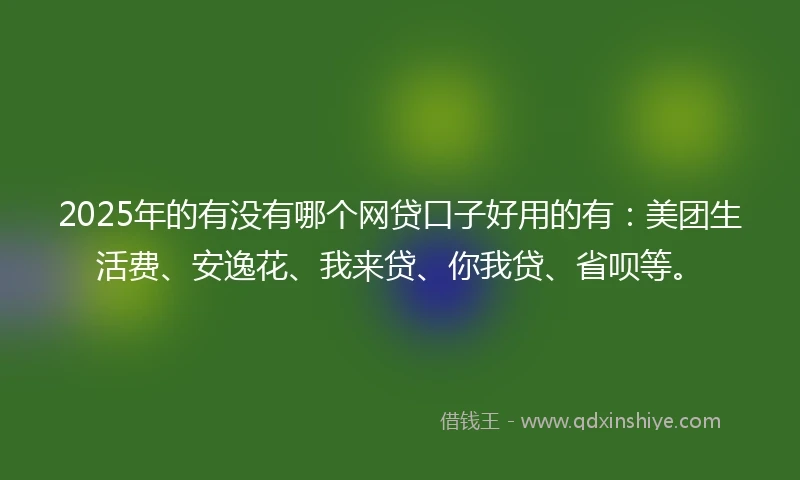 2025年的有没有哪个网贷口子好用的有：美团生活费、安逸花、我来贷、你我贷、省呗等。