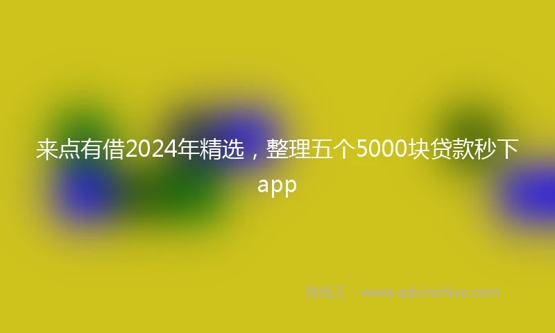 来点有借2024年精选，整理五个5000块贷款秒下app