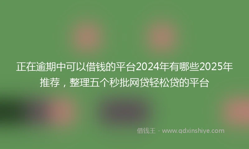 正在逾期中可以借钱的平台2024年有哪些2025年推荐，整理五个秒批网贷轻松贷的平台