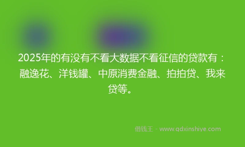 2025年的有没有不看大数据不看征信的贷款有：融逸花、洋钱罐、中原消费金融、拍拍贷、我来贷等。