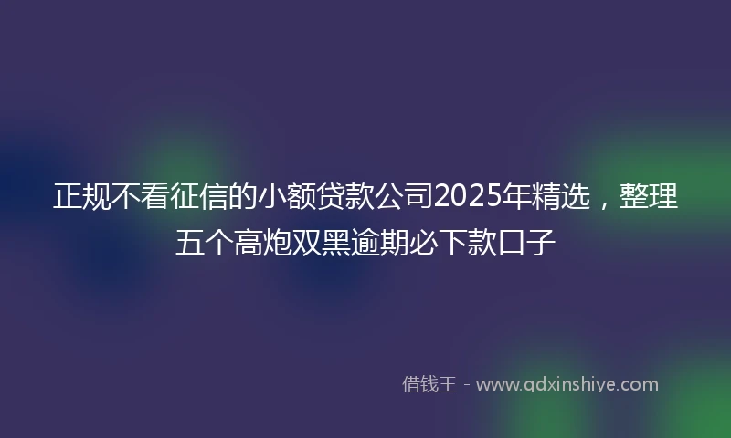 正规不看征信的小额贷款公司2025年精选，整理五个高炮双黑逾期必下款口子