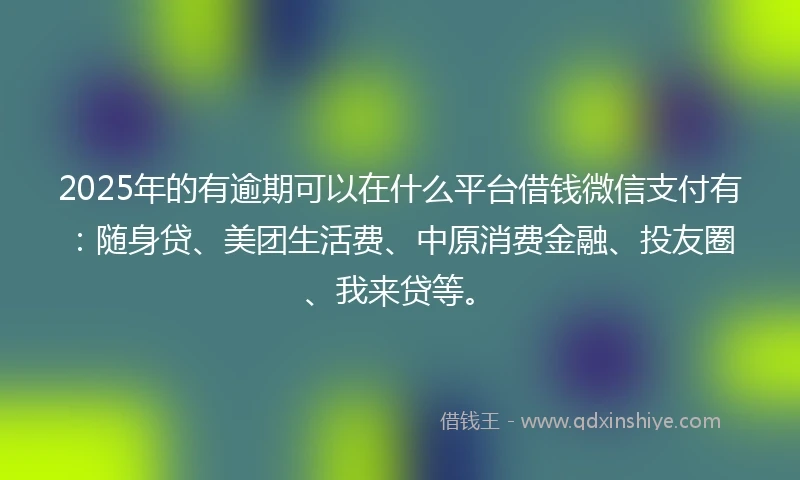 2025年的有逾期可以在什么平台借钱微信支付有：随身贷、美团生活费、中原消费金融、投友圈、我来贷等。