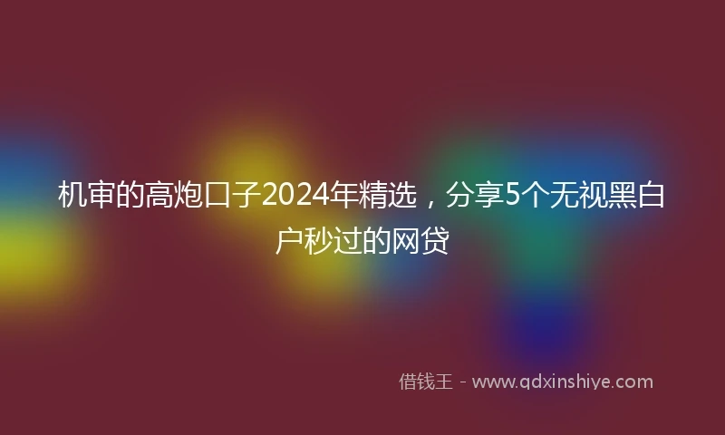 机审的高炮口子2024年精选，分享5个无视黑白户秒过的网贷