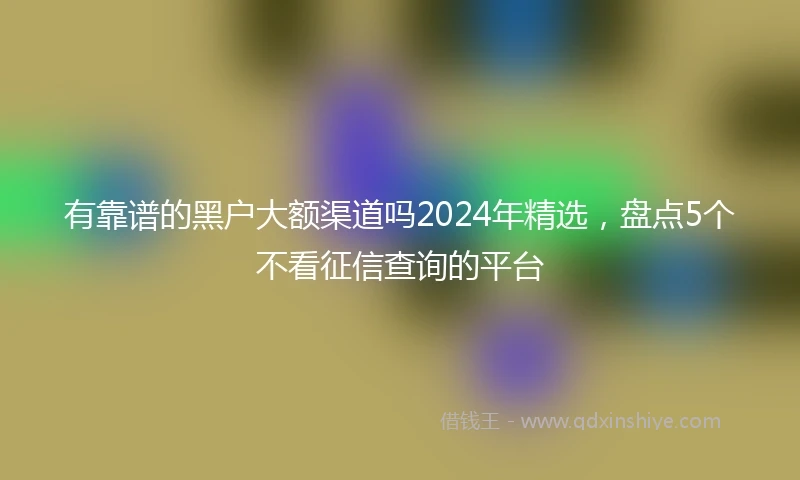 有靠谱的黑户大额渠道吗2024年精选，盘点5个不看征信查询的平台