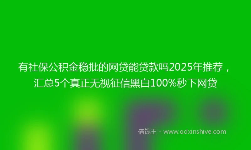 有社保公积金稳批的网贷能贷款吗2025年推荐，汇总5个真正无视征信黑白100%秒下网贷