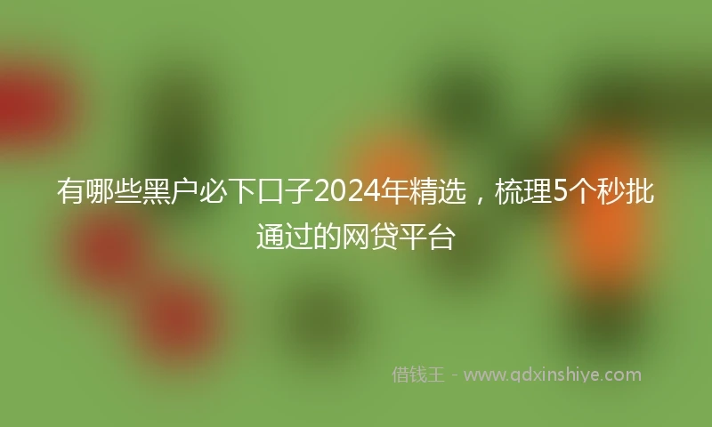 有哪些黑户必下口子2024年精选，梳理5个秒批通过的网贷平台