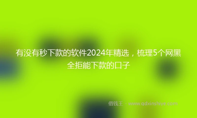 有没有秒下款的软件2024年精选，梳理5个网黑全拒能下款的口子
