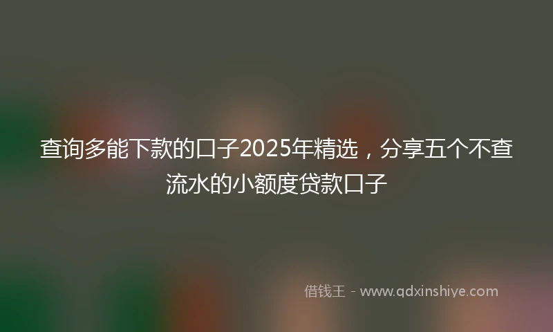 查询多能下款的口子2025年精选，分享五个不查流水的小额度贷款口子