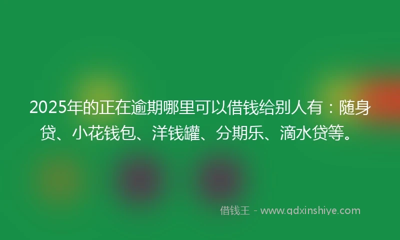 2025年的正在逾期哪里可以借钱给别人有：随身贷、小花钱包、洋钱罐、分期乐、滴水贷等。