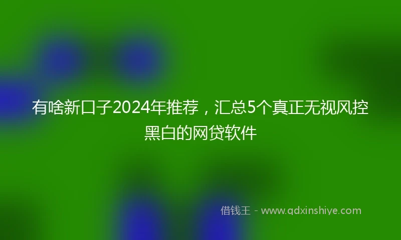 有啥新口子2024年推荐，汇总5个真正无视风控黑白的网贷软件