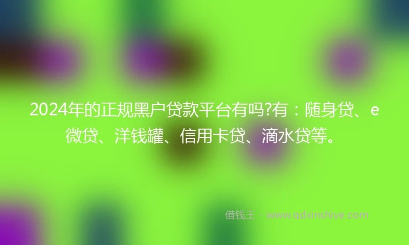 2024年的正规黑户贷款平台有吗?有：随身贷、e微贷、洋钱罐、信用卡贷、滴水贷等。