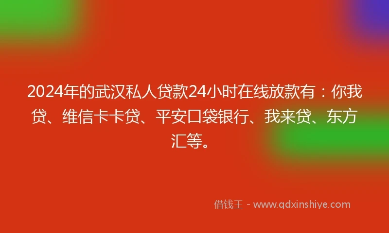 2024年的武汉私人贷款24小时在线放款有：你我贷、维信卡卡贷、平安口袋银行、我来贷、东方汇等。