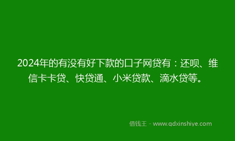 2024年的有没有好下款的口子网贷有：还呗、维信卡卡贷、快贷通、小米贷款、滴水贷等。