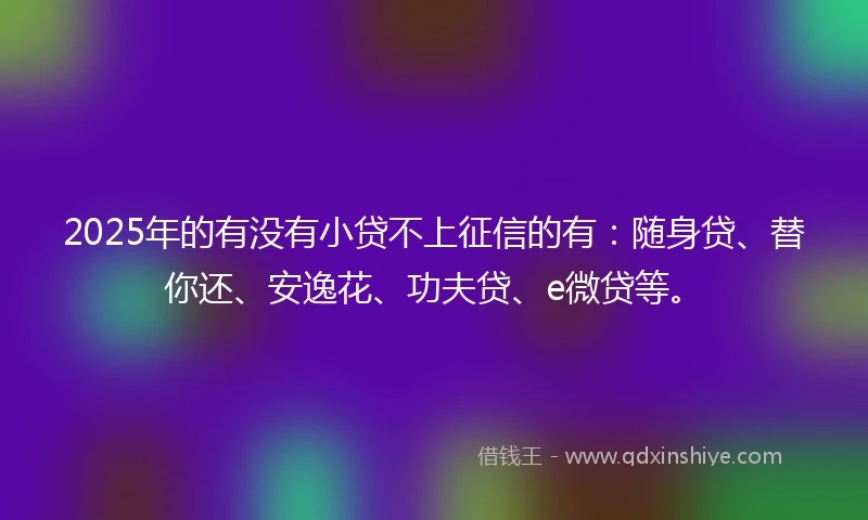 2025年的有没有小贷不上征信的有：随身贷、替你还、安逸花、功夫贷、e微贷等。