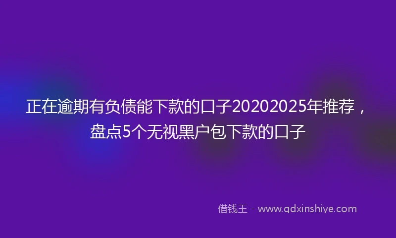 正在逾期有负债能下款的口子20202025年推荐，盘点5个无视黑户包下款的口子