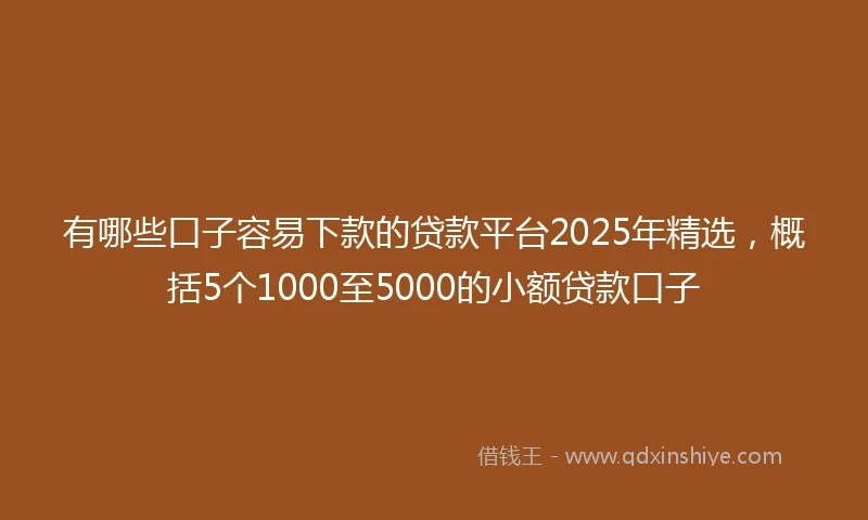 有哪些口子容易下款的贷款平台2025年精选，概括5个1000至5000的小额贷款口子