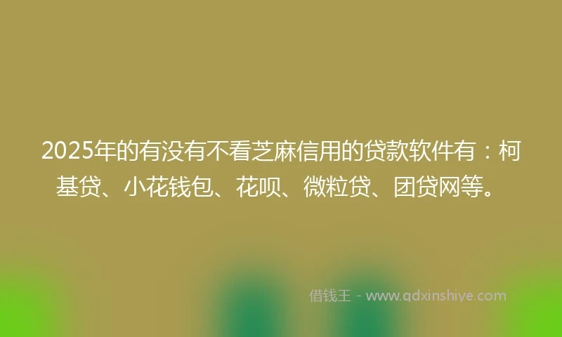 2025年的有没有不看芝麻信用的贷款软件有：柯基贷、小花钱包、花呗、微粒贷、团贷网等。