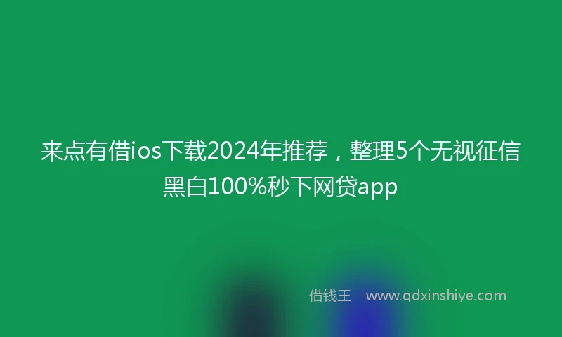 来点有借ios下载2024年推荐，整理5个无视征信黑白100%秒下网贷app