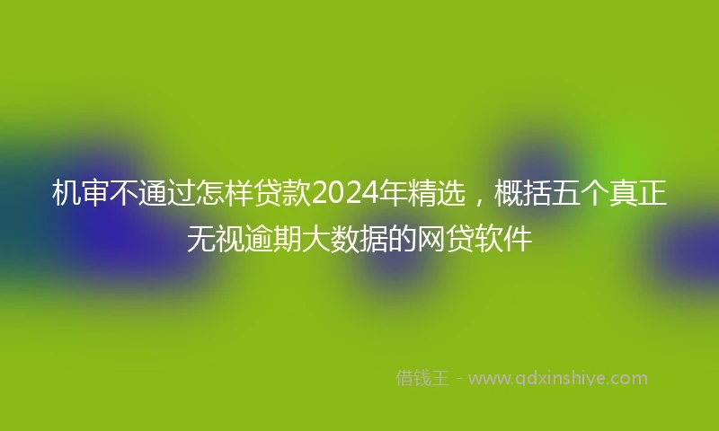 机审不通过怎样贷款2024年精选，概括五个真正无视逾期大数据的网贷软件