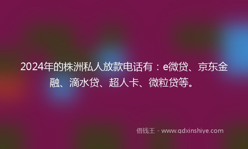 2024年的株洲私人放款电话有：e微贷、京东金融、滴水贷、超人卡、微粒贷等。