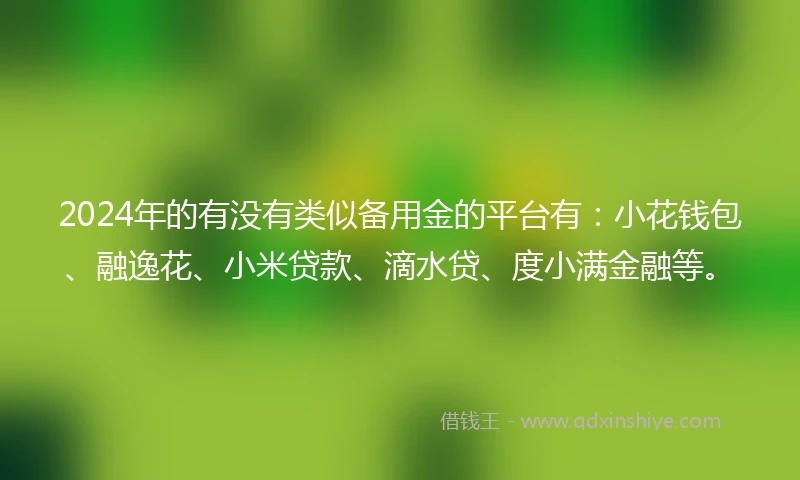 2024年的有没有类似备用金的平台有：小花钱包、融逸花、小米贷款、滴水贷、度小满金融等。