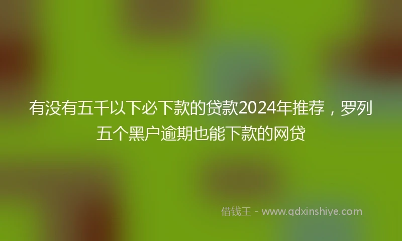 有没有五千以下必下款的贷款2024年推荐，罗列五个黑户逾期也能下款的网贷