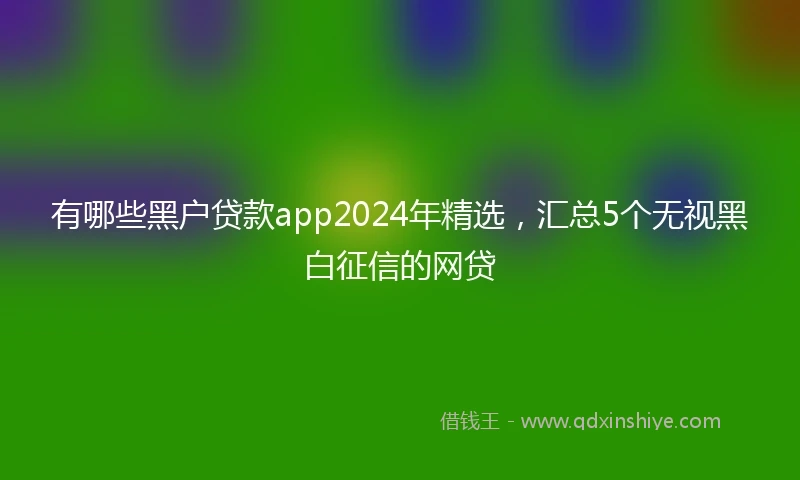 有哪些黑户贷款app2024年精选，汇总5个无视黑白征信的网贷