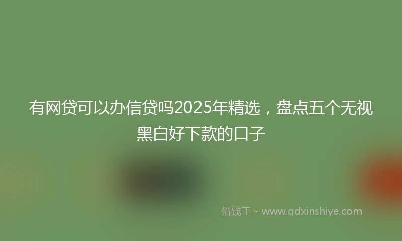 有网贷可以办信贷吗2025年精选，盘点五个无视黑白好下款的口子