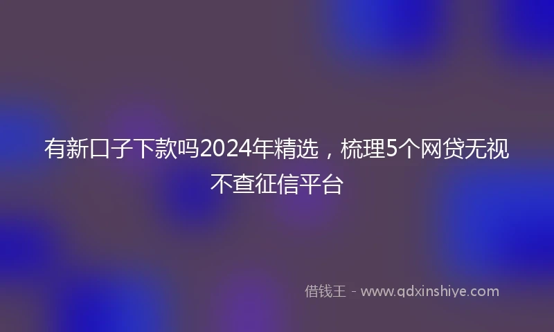 有新口子下款吗2024年精选，梳理5个网贷无视不查征信平台