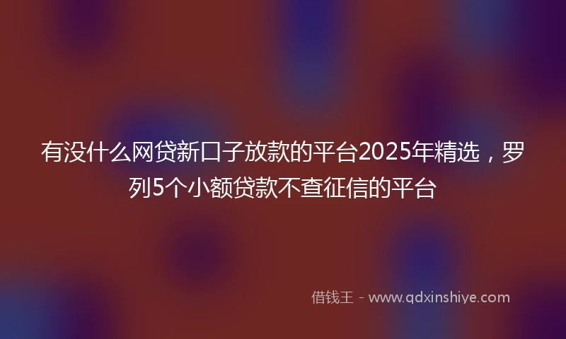 有没什么网贷新口子放款的平台2025年精选，罗列5个小额贷款不查征信的平台