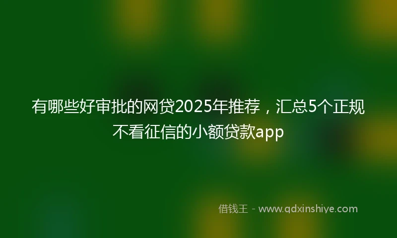 有哪些好审批的网贷2025年推荐，汇总5个正规不看征信的小额贷款app
