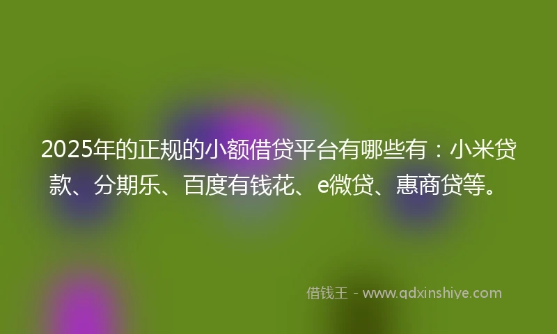 2025年的正规的小额借贷平台有哪些有：小米贷款、分期乐、百度有钱花、e微贷、惠商贷等。