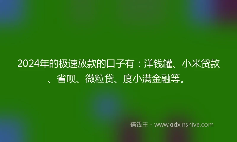 2024年的极速放款的口子有：洋钱罐、小米贷款、省呗、微粒贷、度小满金融等。