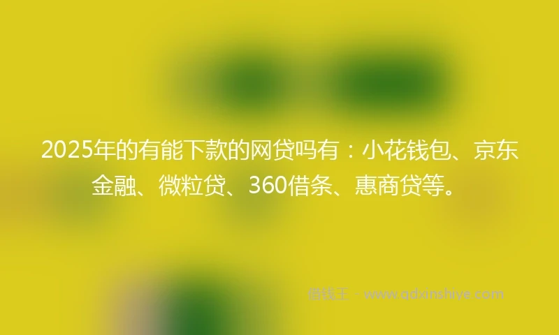 2025年的有能下款的网贷吗有：小花钱包、京东金融、微粒贷、360借条、惠商贷等。