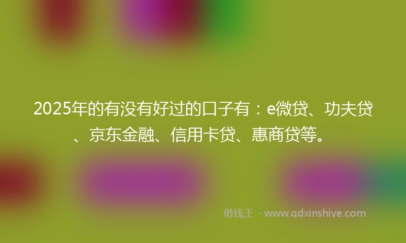 2025年的有没有好过的口子有：e微贷、功夫贷、京东金融、信用卡贷、惠商贷等。