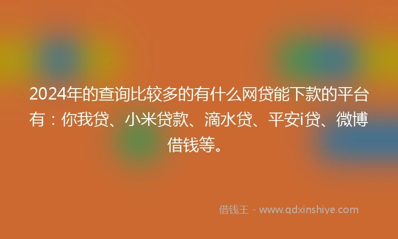2024年的查询比较多的有什么网贷能下款的平台有：你我贷、小米贷款、滴水贷、平安i贷、微博借钱等。