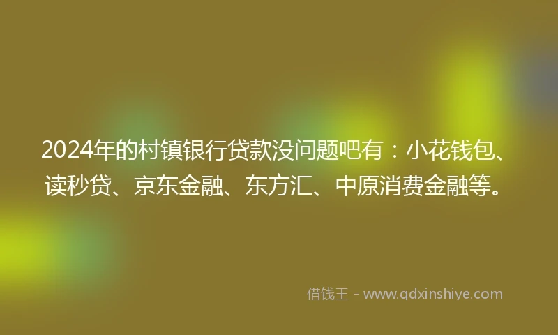 2024年的村镇银行贷款没问题吧有：小花钱包、读秒贷、京东金融、东方汇、中原消费金融等。