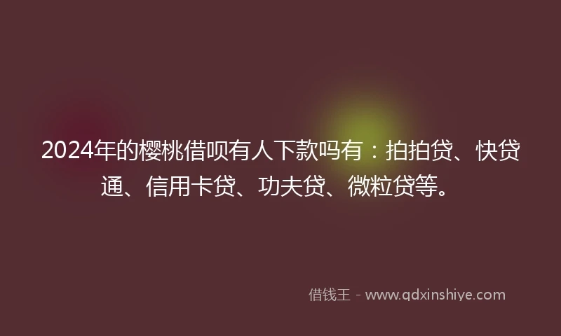 2024年的樱桃借呗有人下款吗有：拍拍贷、快贷通、信用卡贷、功夫贷、微粒贷等。
