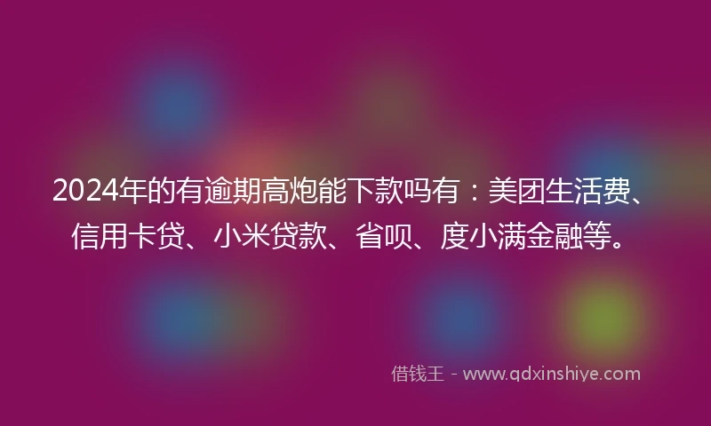 2024年的有逾期高炮能下款吗有：美团生活费、信用卡贷、小米贷款、省呗、度小满金融等。