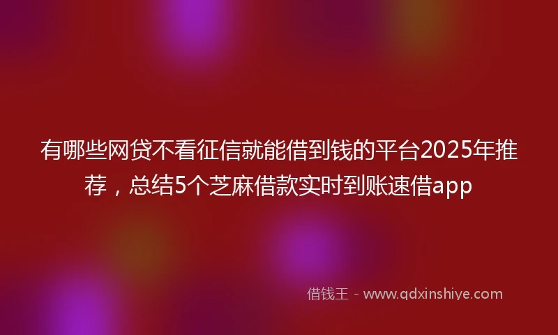 有哪些网贷不看征信就能借到钱的平台2025年推荐，总结5个芝麻借款实时到账速借app