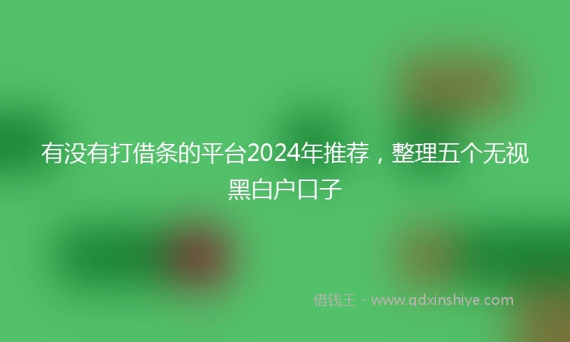有没有打借条的平台2024年推荐，整理五个无视黑白户口子
