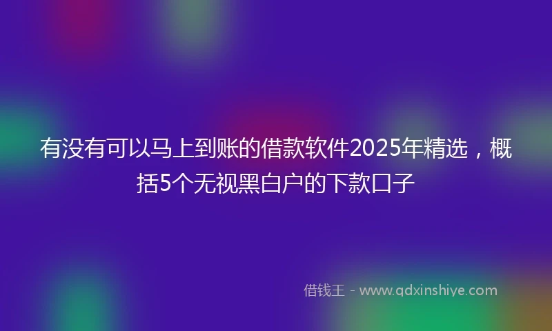 有没有可以马上到账的借款软件2025年精选，概括5个无视黑白户的下款口子