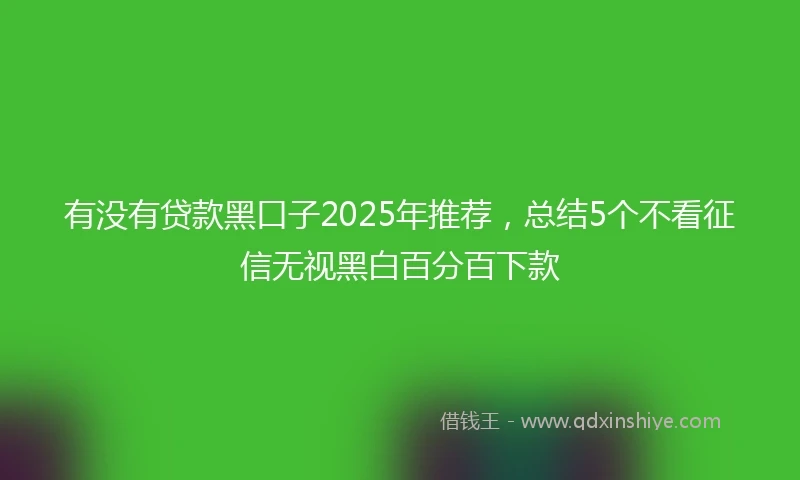 有没有贷款黑口子2025年推荐，总结5个不看征信无视黑白百分百下款