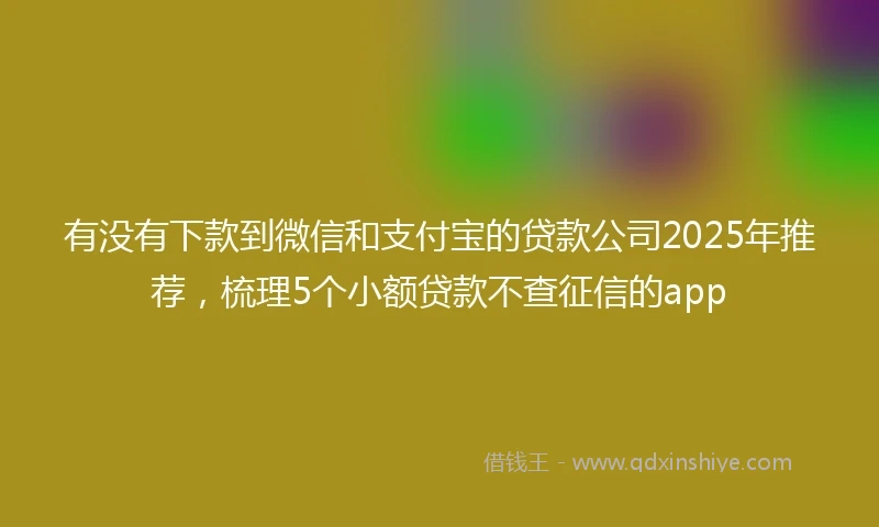 有没有下款到微信和支付宝的贷款公司2025年推荐，梳理5个小额贷款不查征信的app